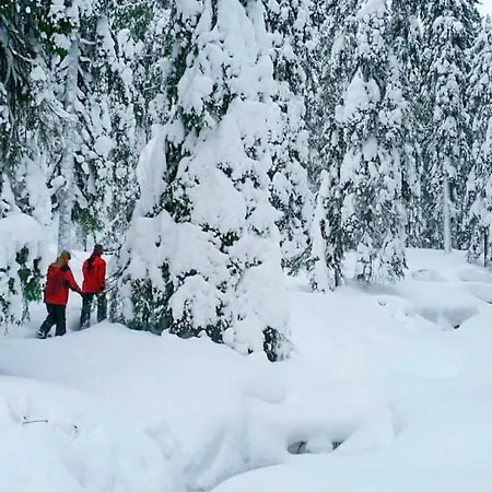 Hotel Arctic Skylight Äkäslompolo