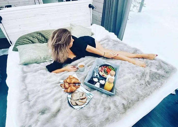 فندق Arctic Skylight 2*