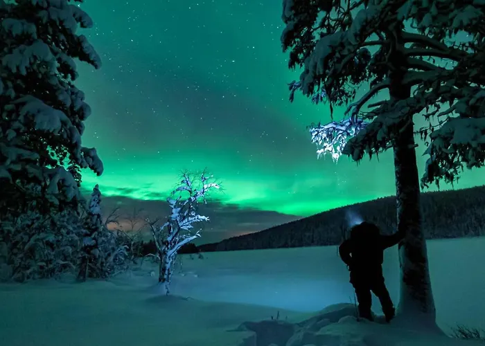 فندق Arctic Skylight 2*