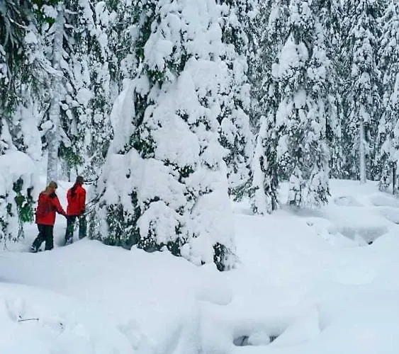 فندق Arctic Skylight Äkäslompolo