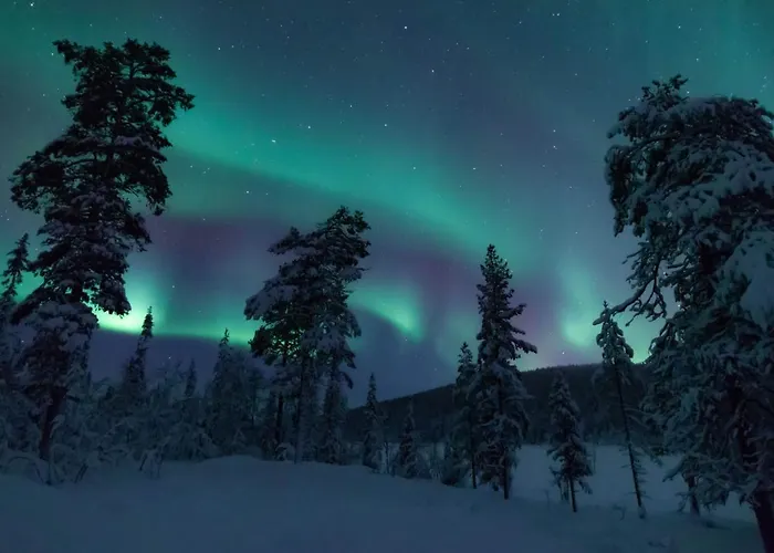 Arctic Skylight فندق