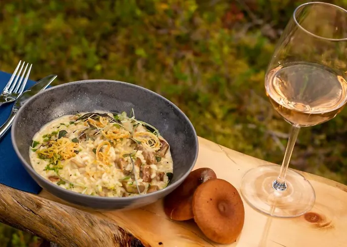 Ξενοδοχείο Arctic Skylight Äkäslompolo