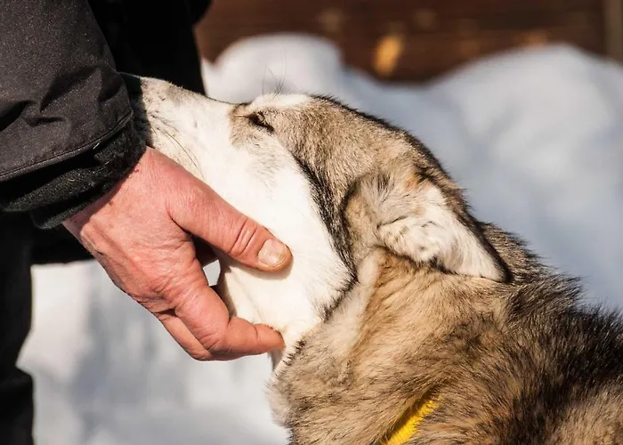 Ξενοδοχείο Arctic Skylight